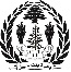 Bintjbeil logo